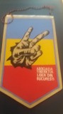 D9 26 - fanion - istorie - Asociatia tineretului liber din Bucuresti - 22 Decembrie 1989
