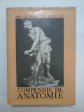 COMPENDIU DE ANATOMIE - MIRCEA IFRIM, GH. NICULESCU