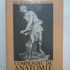 COMPENDIU DE ANATOMIE - MIRCEA IFRIM, GH. NICULESCU