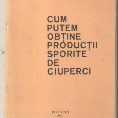 Cum putem obtine productii sporite de ciuperci