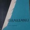 G. IBRAILEANU-MIHAI DRAGAN-218048