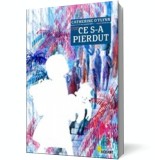 Ce s-a pierdut - Vellant