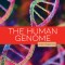 The Human Genome