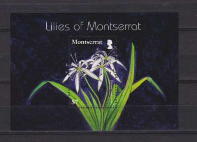 MONTSERRAT MI. BLOCK 120 MNH foto