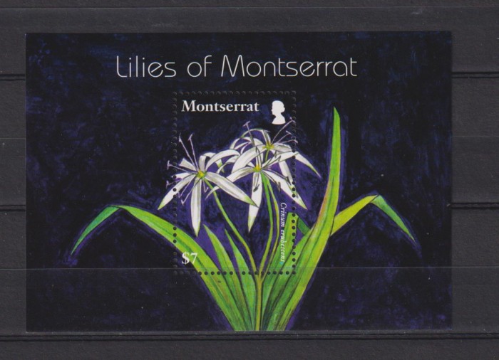 MONTSERRAT MI. BLOCK 120 MNH