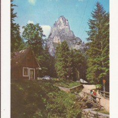 Carte Postala veche - Lacul Rosu, Necirculata 1971