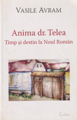 ANIMA DR. TELEA. TIMP SI DESTIN LA NOUL ROMAN - VASILE AVRAM foto