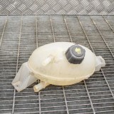 Vas de expansiune RENAULT MASTER III Furgon FV 2012 OEM: 217100015R 10001204