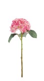 Set 12 Hortensii artificiale verde roz 22x22x47 cm