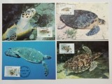 Maldive 1995 - Testoasa marina Hawksbill, serie CarteMaxima