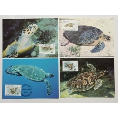 Maldive 1995 - Testoasa marina Hawksbill, serie CarteMaxima