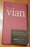 Blues pentru o pisica neagra de Boris Vian Cotidianul