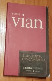 Blues pentru o pisica neagra de Boris Vian Cotidianul