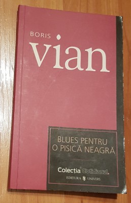Blues pentru o pisica neagra de Boris Vian Cotidianul foto