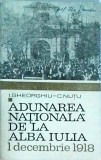 I. Gheorghiu, C. Nutu - Adunarea Nationala de la Alba Iulia. 1 decembrie 1918