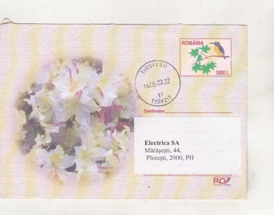 bnk ip Flori 2003 - circulat 2003 foto