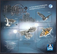 FRANTA 2023 FAUNA PASARI BUFNITE FLUTURI LILIECI foto
