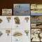 gambia - crocodil - serie 4 timbre MNH, 4 FDC, 4 maxime, fauna wwf