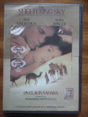 Un ceai in Sahara - Sheltering Sky, Bernardo Bertolucci, John Malkovich foto