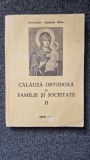 CALAUZA ORTODOXA IN FAMILIE SI SOCIETATE II - Ioanichie Balan