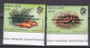 Belize 1984 fauna supratipar MI 745-746 MNH, Nestampilat
