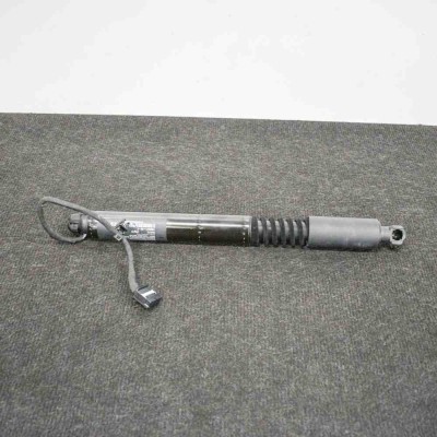 Alt modul de control TESLA MODEL X 2018 OEM: 1063441-00-C 10038511 foto