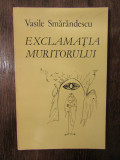 Exclamația muritorului - Vasile Smărăndescu