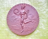H16-I-Medalia Camera de Comert Austria Vienna 1984 Grienauer bronz stare buna, 5 cm.