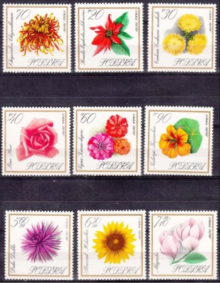 POLONIA 1966 FLORI foto