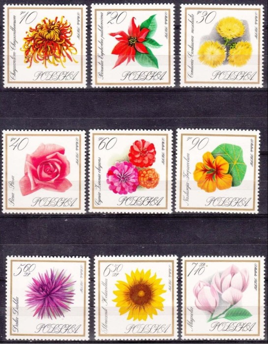 POLONIA 1966 FLORI