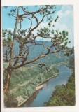 RF188 - Carte Postala - Valea Oltului la Cozia, circulata 1974
