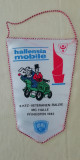 D10 116 - fanion strain - tematica sport - automobilism - Germania - 1982