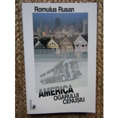 Romulus Rusan - America ogarului cenusiu