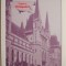 Turist in Timisoara &ndash; Petru Iliesu
