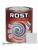Grund Anticoroziv Rost, Alchidic, 0.7L - 17L, Protectie Metal, Interior/Exterior