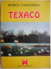 Texaco by Patrick Chamoiseau - English Language Book