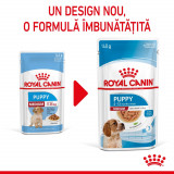 Royal Canin Medium Puppy hrană umedă c&acirc;ine junior (&icirc;n sos), 10 x 140g