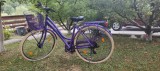 Bicicleta de dama deosebita - Culoare unica