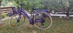 Bicicleta de dama deosebita - Culoare unica