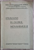Stradanii in ogorul monahismului &ndash; Arhimandrit Athanasie Dinca