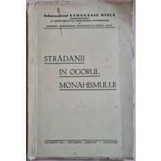 Stradanii in ogorul monahismului &ndash; Arhimandrit Athanasie Dinca