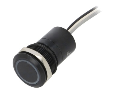 Comutator Capacitiv 12V IP68 foto