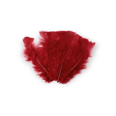 Set 20 pene decorative curca, lungime 10 - 15 cm, Bordo foto