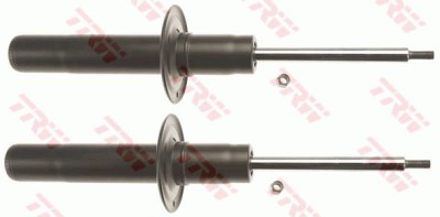 TRW JGM1084T TRW TWIN amortizor foto