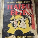 Teatru in Bete - Neagu Radulescu