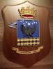 D15 24 - Placheta - tematica militara - aviatie - Regimentul elicoptere &quot;Vega&quot;, Europa