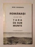 Bebe Negoescu - Rom&acirc;nași, un sat din Țara de sub Munte (monografie geografică)