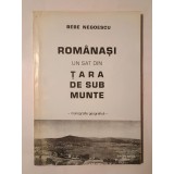 Bebe Negoescu - Rom&acirc;nași, un sat din Țara de sub Munte (monografie geografică)
