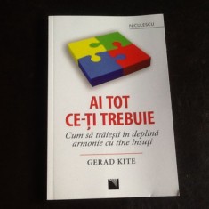 Ai tot ce-ti trebuie - Gerad Kite