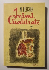 M. Blecher - Inimi cicatrizate (Humanitas; ed. Marieva Ionescu; 2016)